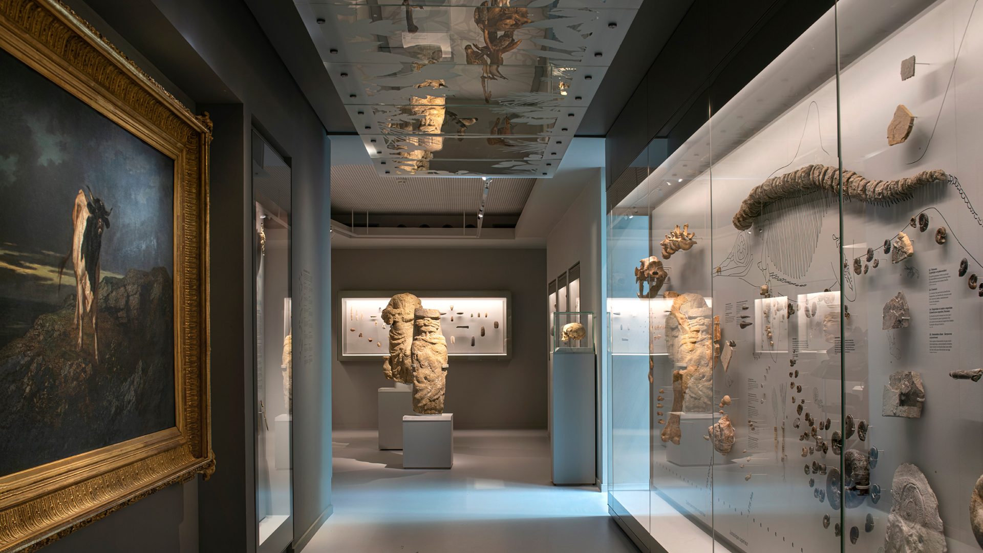 Dans l'exposition permanente des collections : salle Animal © Ville de Mende – Musée du Gévaudan – Photo François Pons
